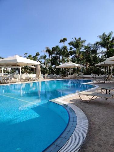 a large swimming pool with chairs and umbrellas at Garden Luxury Apartment Ayia Napa in Ayia Napa