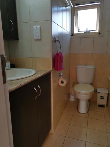 a bathroom with a sink and a toilet and a window at Garden Luxury Apartment Ayia Napa in Ayia Napa