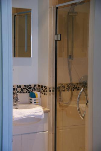 a bathroom with a shower and a sink at Blue Sky Bed and Breakfast in St Ives