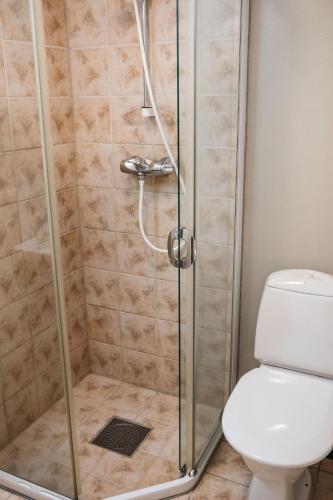 a shower stall in a bathroom with a toilet at Hovdehytta in Hovden