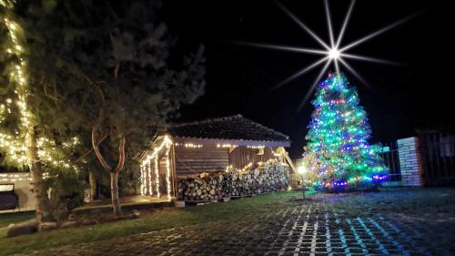 a christmas tree with lights in front of a house at Dom Gościnny Hansel & Gretel in Kallinowen