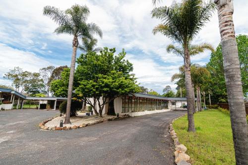 a street with palm trees and a building at Eden Nimo Motel in Eden