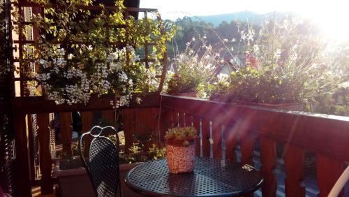 Imagen de la galería de Marcia Donatti - A l'Ombre des Coteaux Sao Paulo, en Kaysersberg