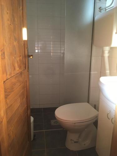 a bathroom with a toilet and a sink at Bungalovi Gučevski pogled - Banja Koviljača in Rupavci