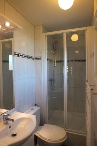 a bathroom with a shower and a toilet and a sink at Camping de Vogel in Hengstdijk