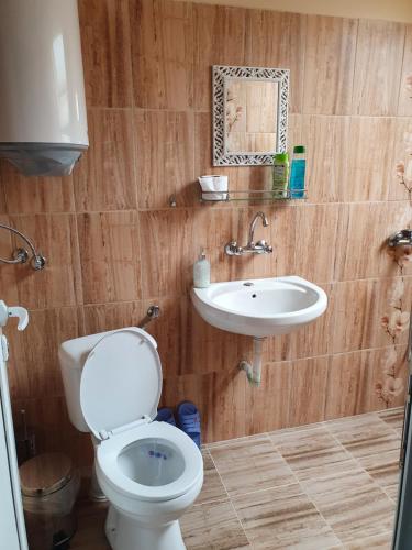 a bathroom with a toilet and a sink at Rooms Lagat in Troyan