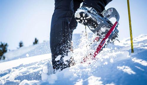 a person on skis in the snow at Alpengasthof Krische in Murau