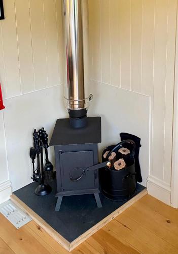 a stove in a room with a pot of wood at Fourwinds B&B in March
