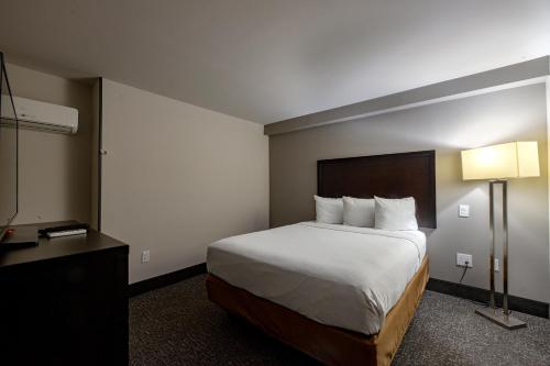 Wingate by Wyndham Atlanta Galleria/ Ballpark Image