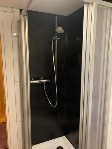 Ένα μπάνιο στο Ferienhaus am Harkebrügger See
