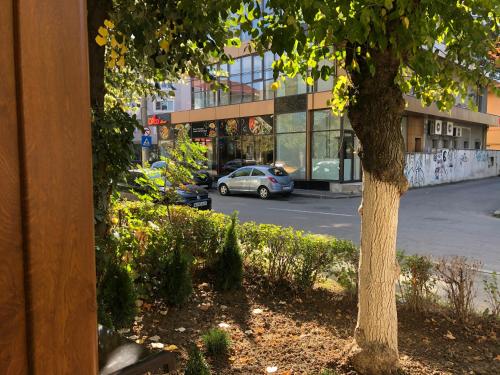 Η γειτονιά γύρω από ή μία γειτονιά κοντά σε αυτό το διαμέρισμα