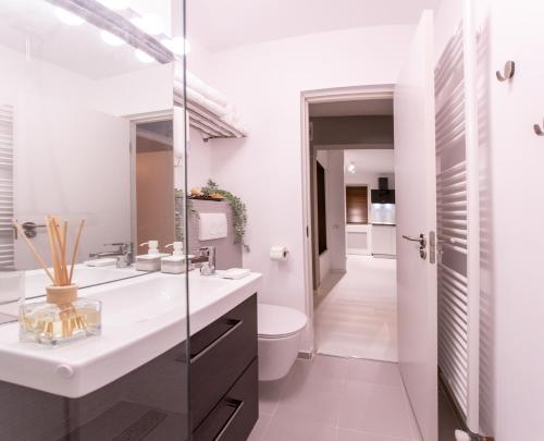 a bathroom with a sink and a toilet at The Retreat in Sinaia