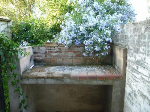 un albero con fiori blu che cresce su un muro di mattoni di El Tilo a Colón