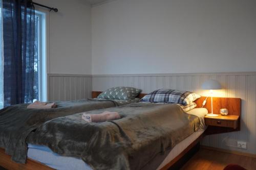 a bedroom with two beds and a window at Mary Rooms in Tromsø