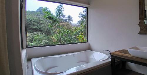 Kylpyhuone majoituspaikassa Olingo Monteverde