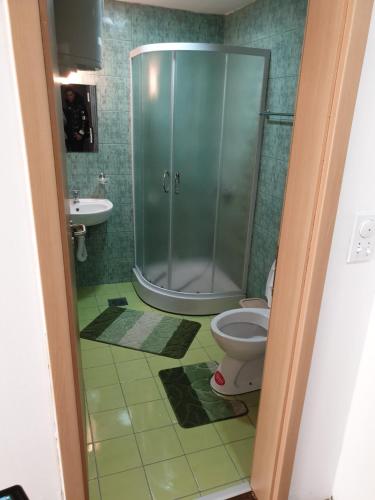 Un baño con ducha, inodoro y lavabo. en Apartman Nota, en Kopaonik