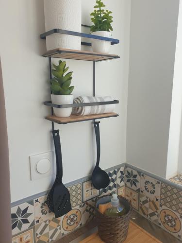 a shelf with plants on it in a kitchen at Mistral Appartements in Saint-Louis-du-Rhône