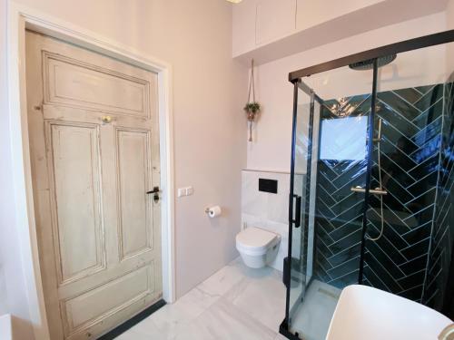 a bathroom with a shower and a toilet at Cozy historical Cottage (Huisje HèHè) in Wassenaar