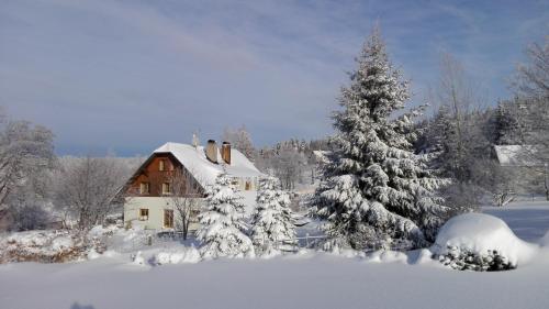Zdjęcie z galerii obiektu Penzion Sehnoutkovi w mieście Bedřichov