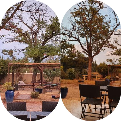 two pictures of a patio with a table and a tree at Hotel Carina in Apt