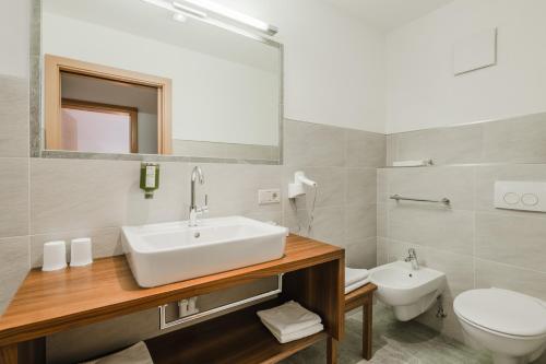 a bathroom with a sink and a toilet and a mirror at Residence Erika in Siusi