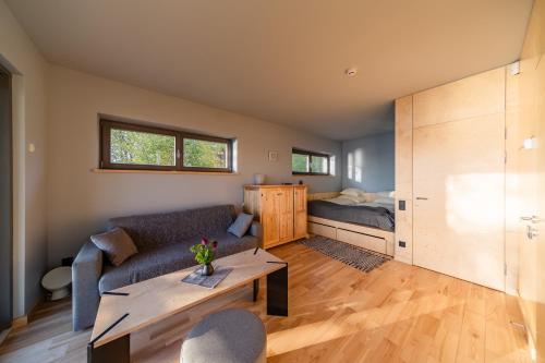 a living room with a couch and a bed at Lauču Akmens in Skulte