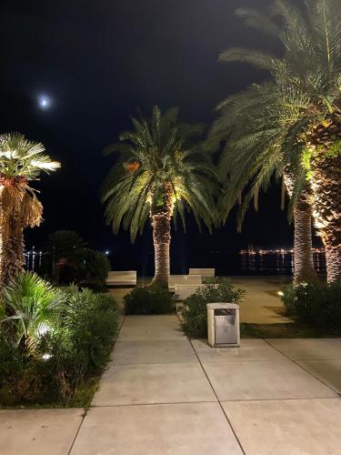 a row of palm trees at night with the moon at Apartment Anđelina, Split in Split