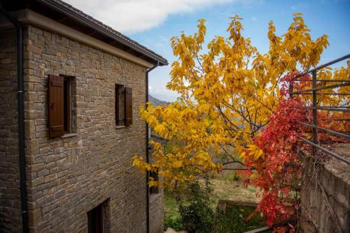 uma árvore com folhas amarelas e vermelhas ao lado de um edifício em Pefkofyto Mountain Retreat em Pefkófyton