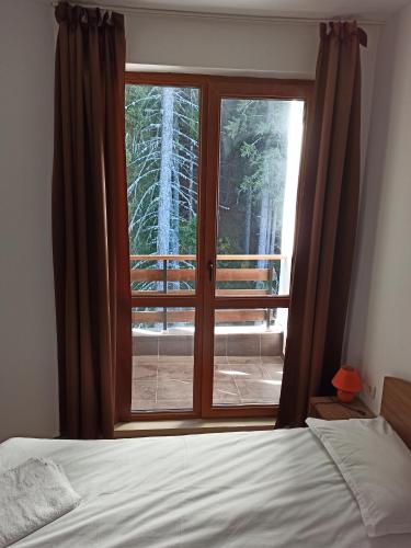 a bedroom with a bed and a glass window at Private Apartments Nevena in Pamporovo