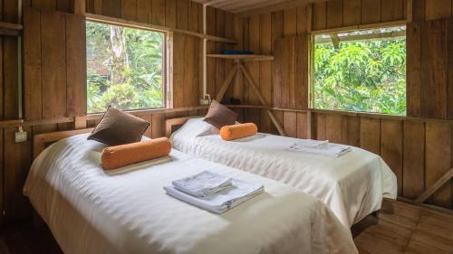 two beds in a wooden room with two windows at Hakuna Matata Amazon Lodge in Archidona