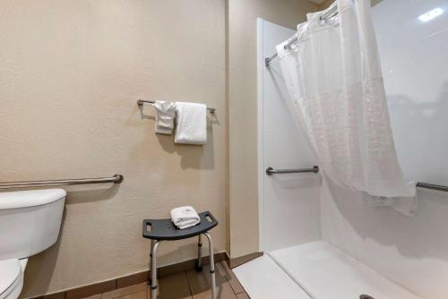 A bathroom at Comfort Inn & Suites Pueblo