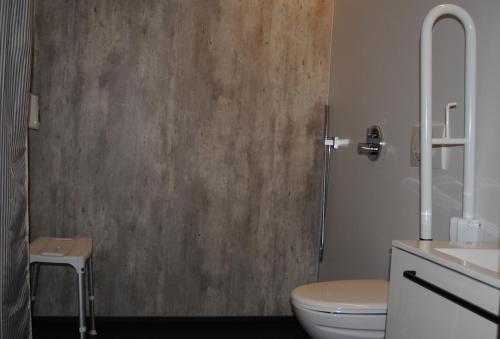 a bathroom with a toilet and a sink at Brunnholl Country Guesthouse in Höfn