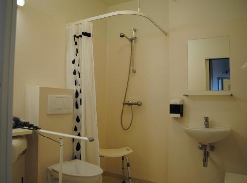 a bathroom with a shower and a toilet and a sink at Brunnholl Country Guesthouse in Höfn