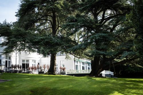 Manor Parc Hotel photo 17