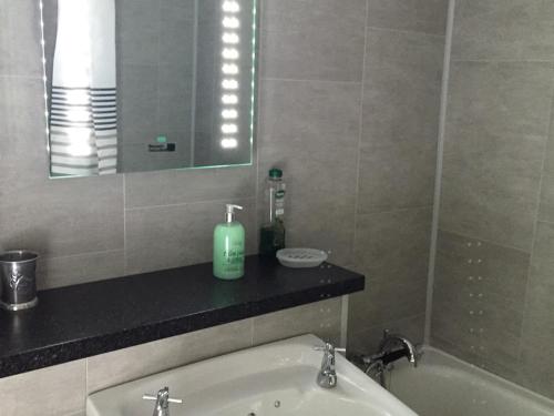 a bathroom with a sink and a mirror and a bath tub at Lisnafillan Lodge in Ballymena