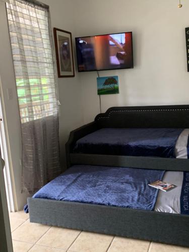 a bedroom with two beds and a flat screen tv at Apartamento Estudio Casa Maria Reyes en Bayamon in Van Scoy