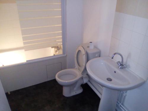 a white bathroom with a toilet and a sink at STUDIO cosy dans le centre de LIMOGES in Limoges