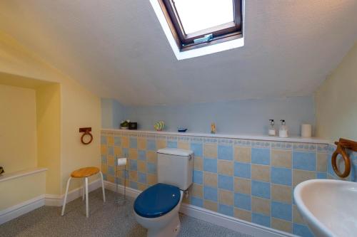 a bathroom with a toilet and a sink and a skylight at Thorneyfield Guest House in Ambleside
