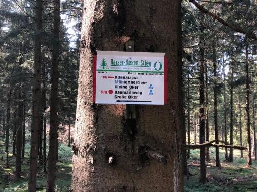 Naturlandschaft in der Nähe der Ferienwohnung