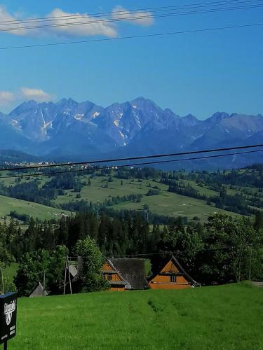 a view of a green field with mountains in the background at Dom Wczasowy Tatrzański in Szaflary