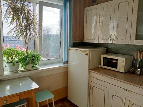 ユジノ・サハリンスクにあるApartment on Pobedy prospekt 75のキッチン(白い冷蔵庫付)、窓