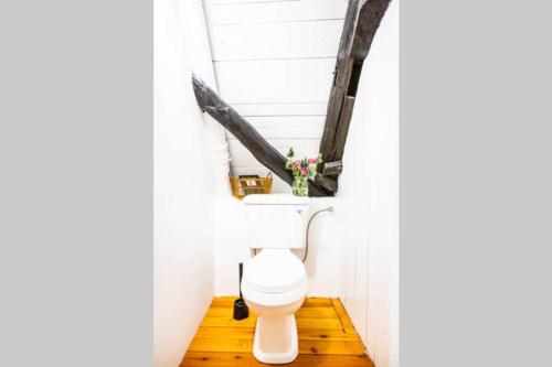 a bathroom with a toilet in a room at Altes Fährhaus - Ferienwohnung Boven, 220 qm in Wewelsfleth