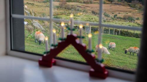 a group of sheep grazing in a field near a window at Ceim house, Restful rural home Gap of dunloe, Killarney in Derrylea