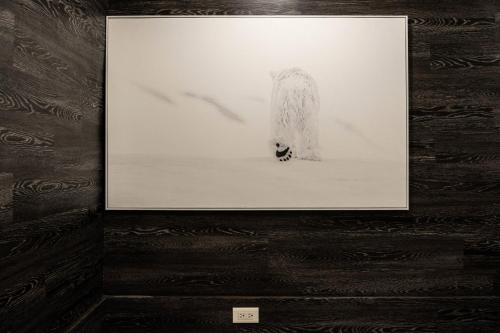 a picture of a dog on a wall at Daily Home in Xiaoliuqiu
