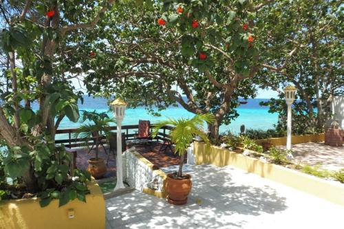 a bench under a tree with the ocean in the background at Villa Seaside Boca Sami in Sint Michiel