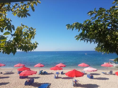 a beach with red umbrellas and chairs and the ocean at Spitaki Apartments Potos in Potos