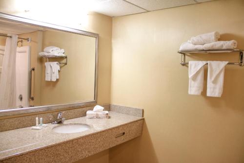 Comfort Inn & Suites Syracuse-Carrier Circle tesisinde bir banyo