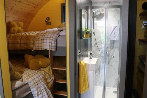 Cette chambre comprend une chambre avec des lits superposés et une douche. dans l'établissement Glampods Glamping Pod - meet Highland Cows and Sheep Elgin, à Elgin