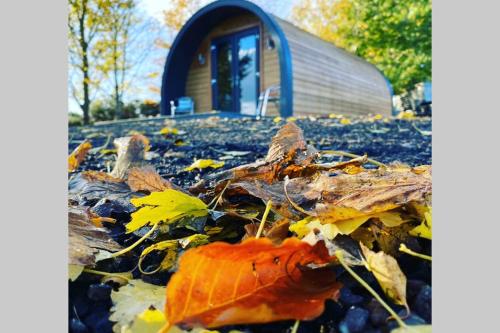 Κήπος έξω από το Glampods Glamping Pod - meet Highland Cows and Sheep Elgin