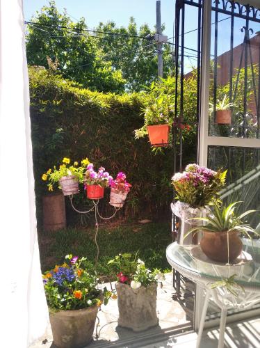 a bunch of potted plants on a patio at Grace’s House, Ezeiza Airport in Monte Grande